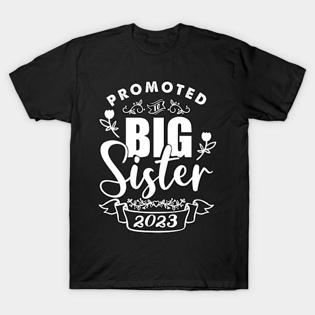 Gift for birth sister siblings 2023 T-Shirt by HBfunshirts